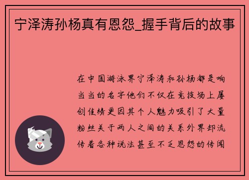 宁泽涛孙杨真有恩怨_握手背后的故事